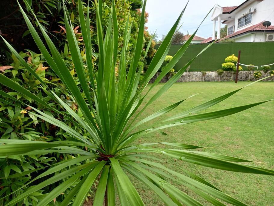 2 Bedrooms Villa With Private Pool At Port Dickson Exterior foto